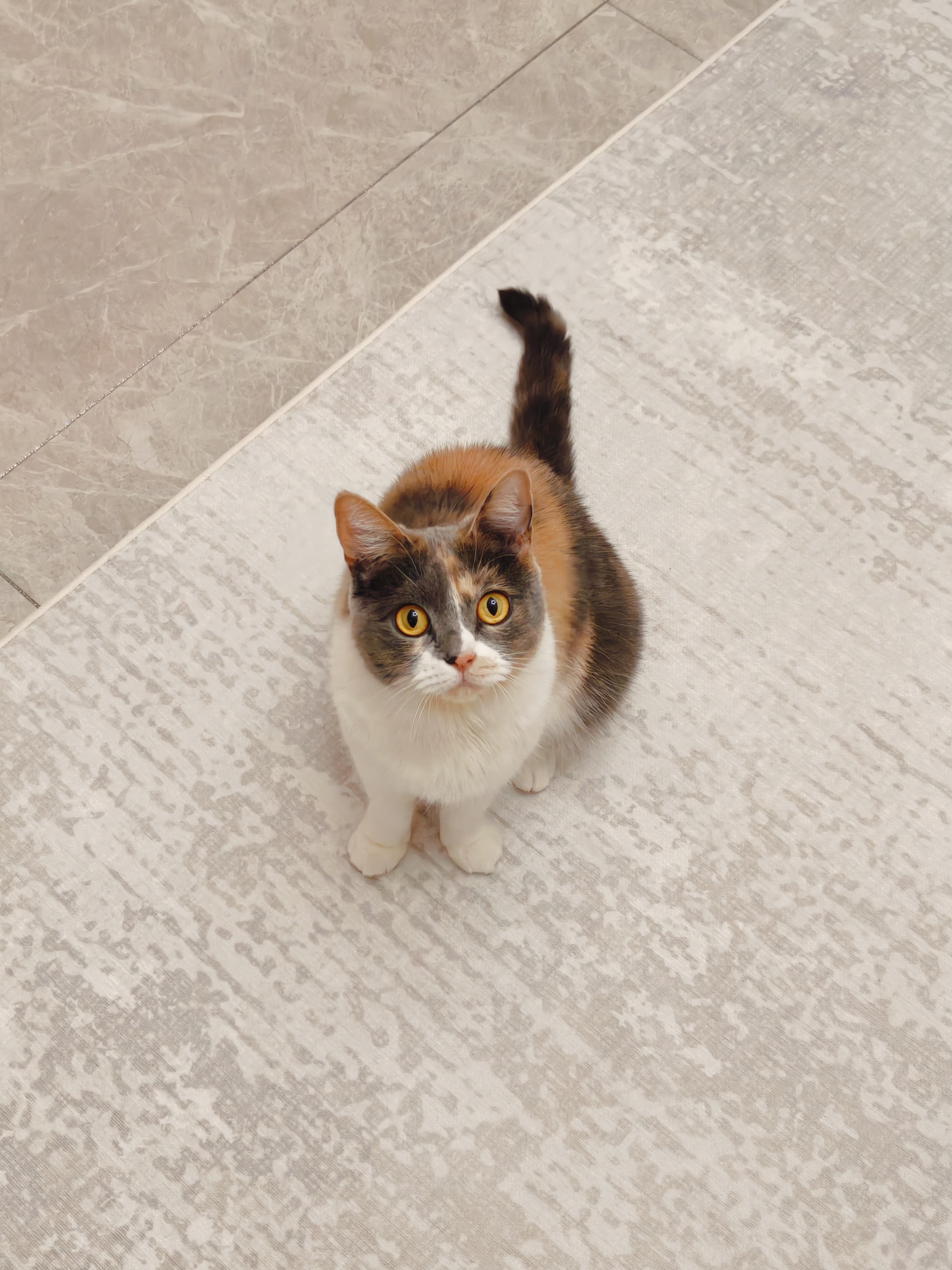 10月7日行程图片